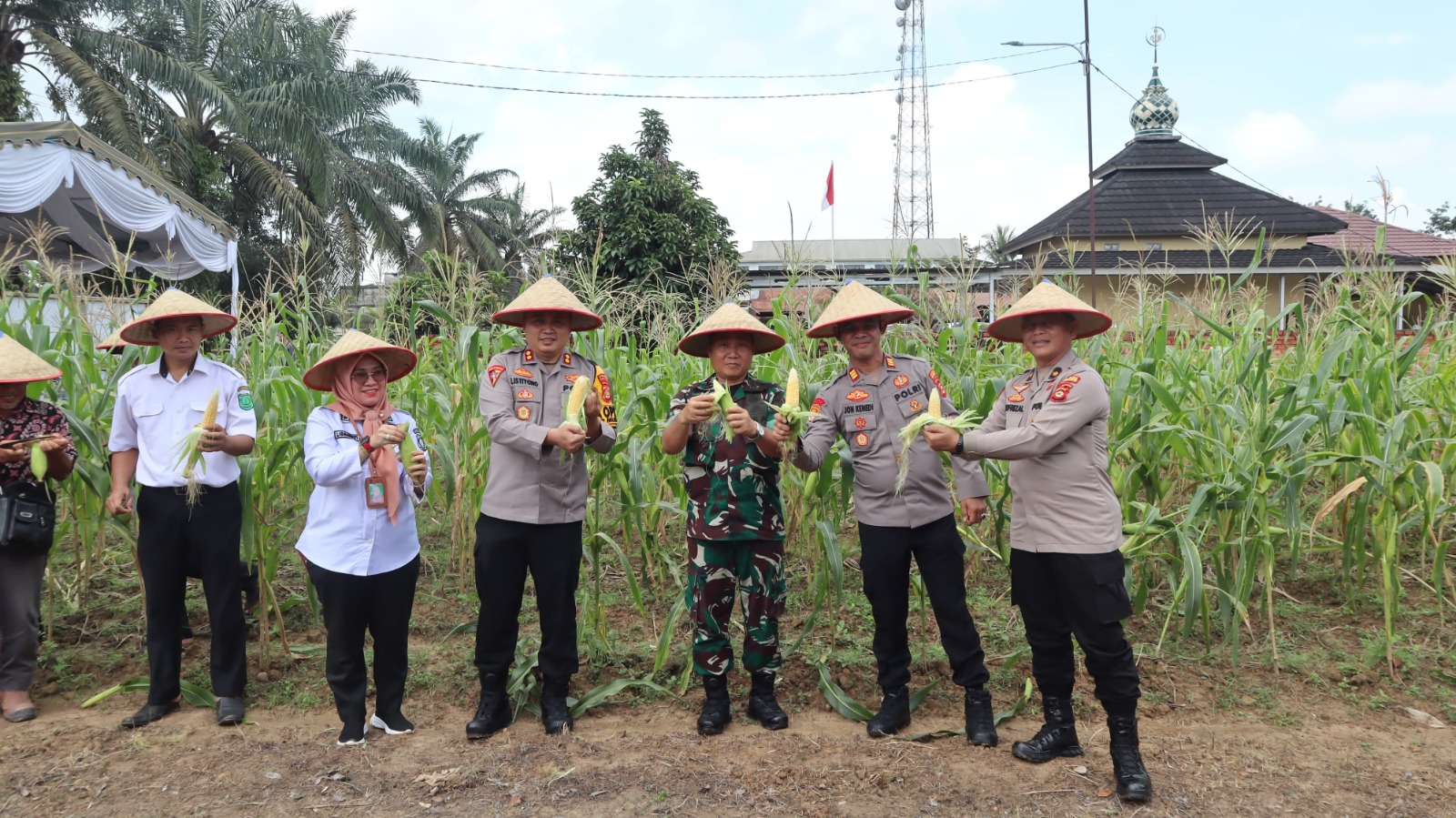 Secara simbolis di sungai lilin Polres muba panen jagung tahap 1