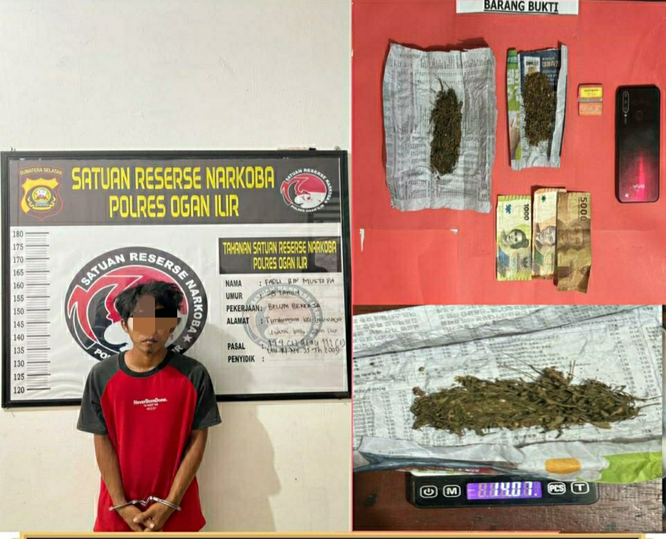 Polisi Tangkap Pengedar Ganja di Jalan Sarjana Indralaya Utara