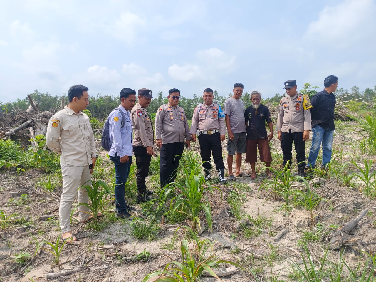 Polsek Batang hari leko Dan Korwil Tani Cek Perkembangan Jagung