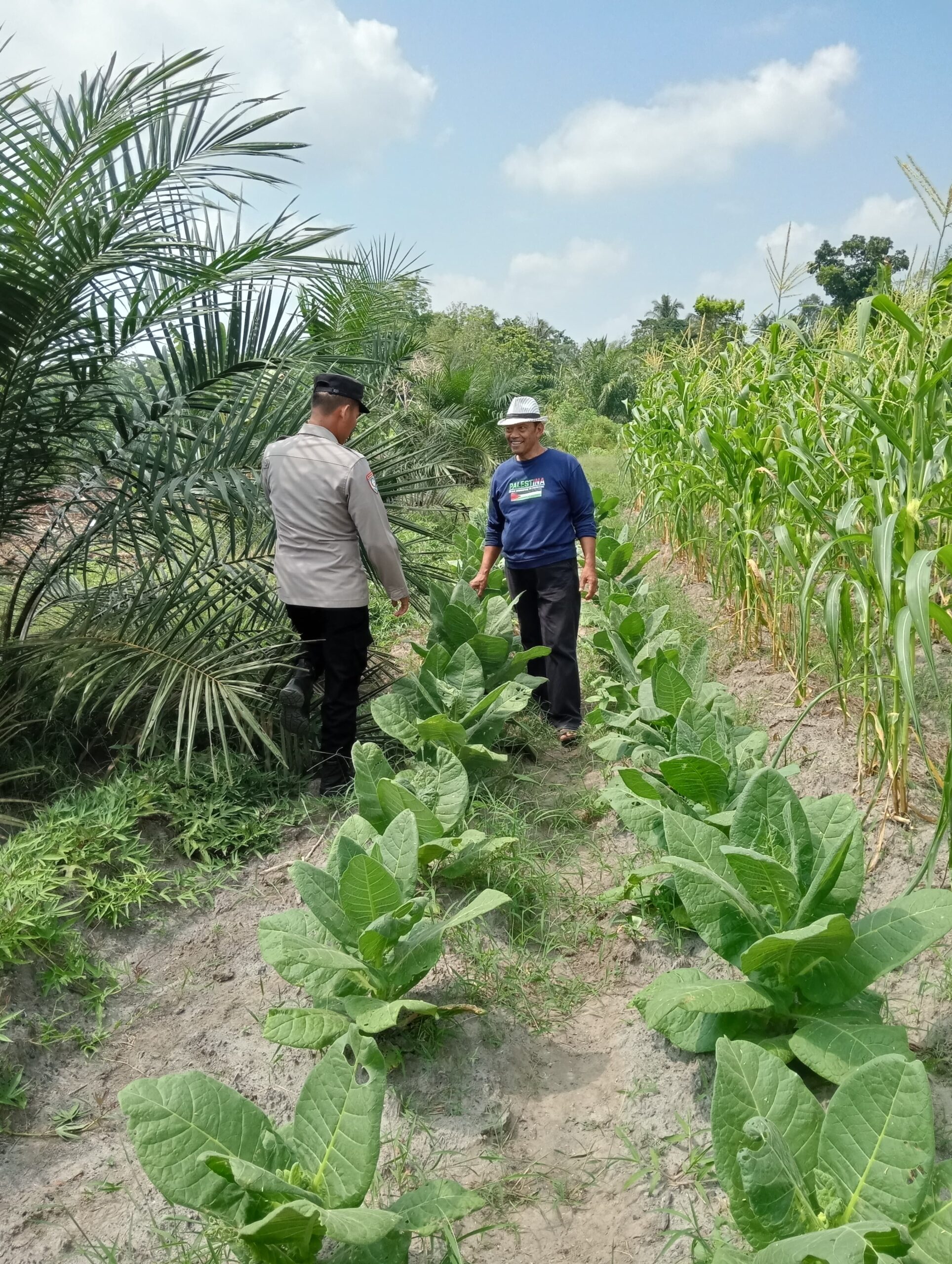 Polsek Plakat Tinggi Cek Lahan kebun Pekarangan di Desa Suka