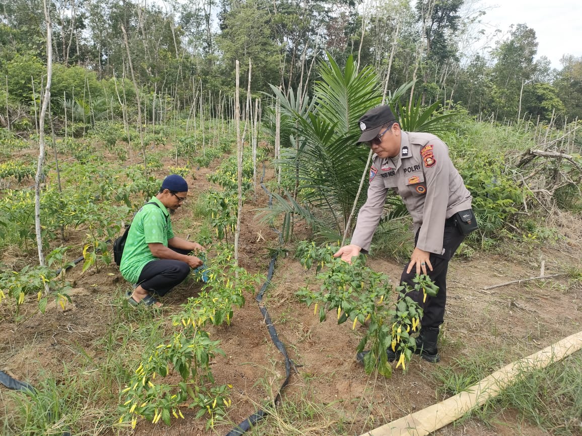 Bhabinkamtibmas Babat Toman Cek Lahan Ketahanan Pangan