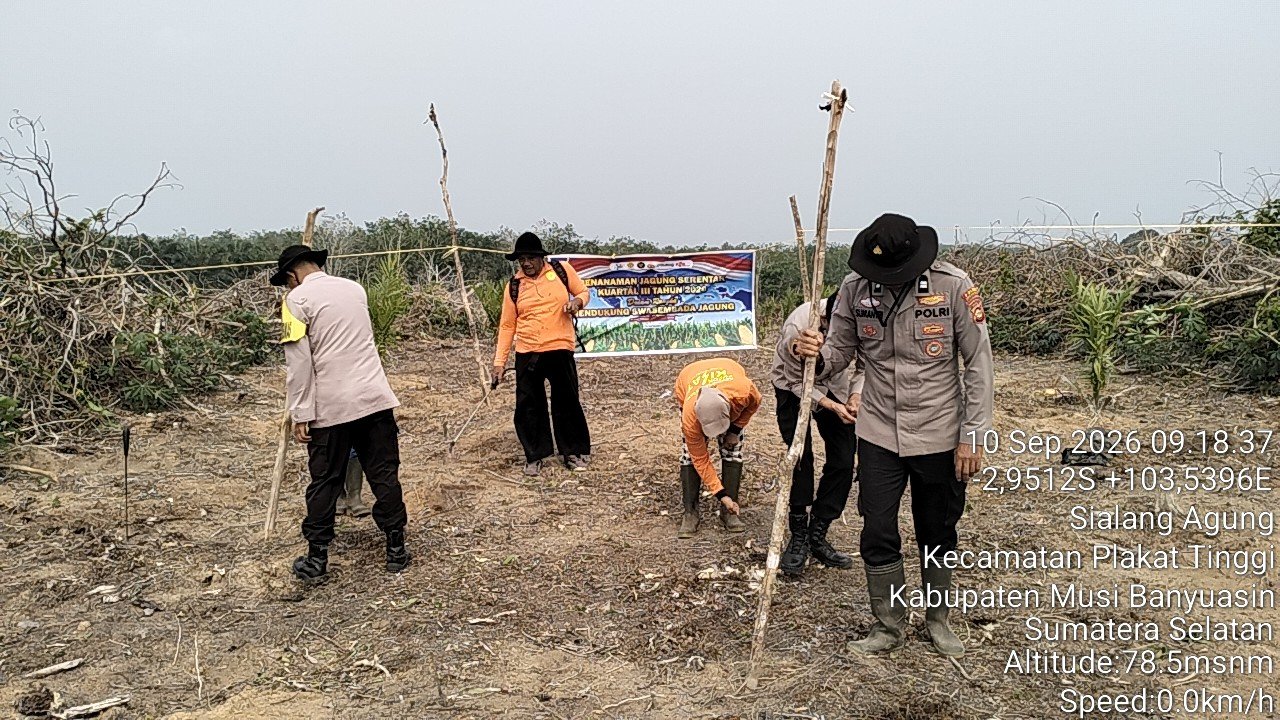 Polsek Plakat Tinggi Tanam Jagung Kuartal III, Dukung Swasembada Jagung Tahun 2026